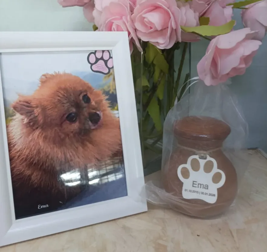 Fotografía conmemorativa y urna de Ema