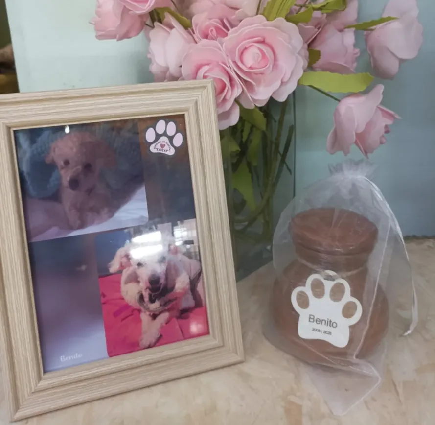 Fotografía conmemorativa y urna de Benito